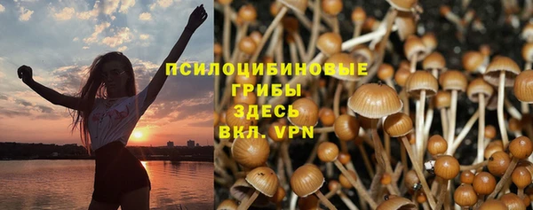 мяу мяу кристалл Вяземский